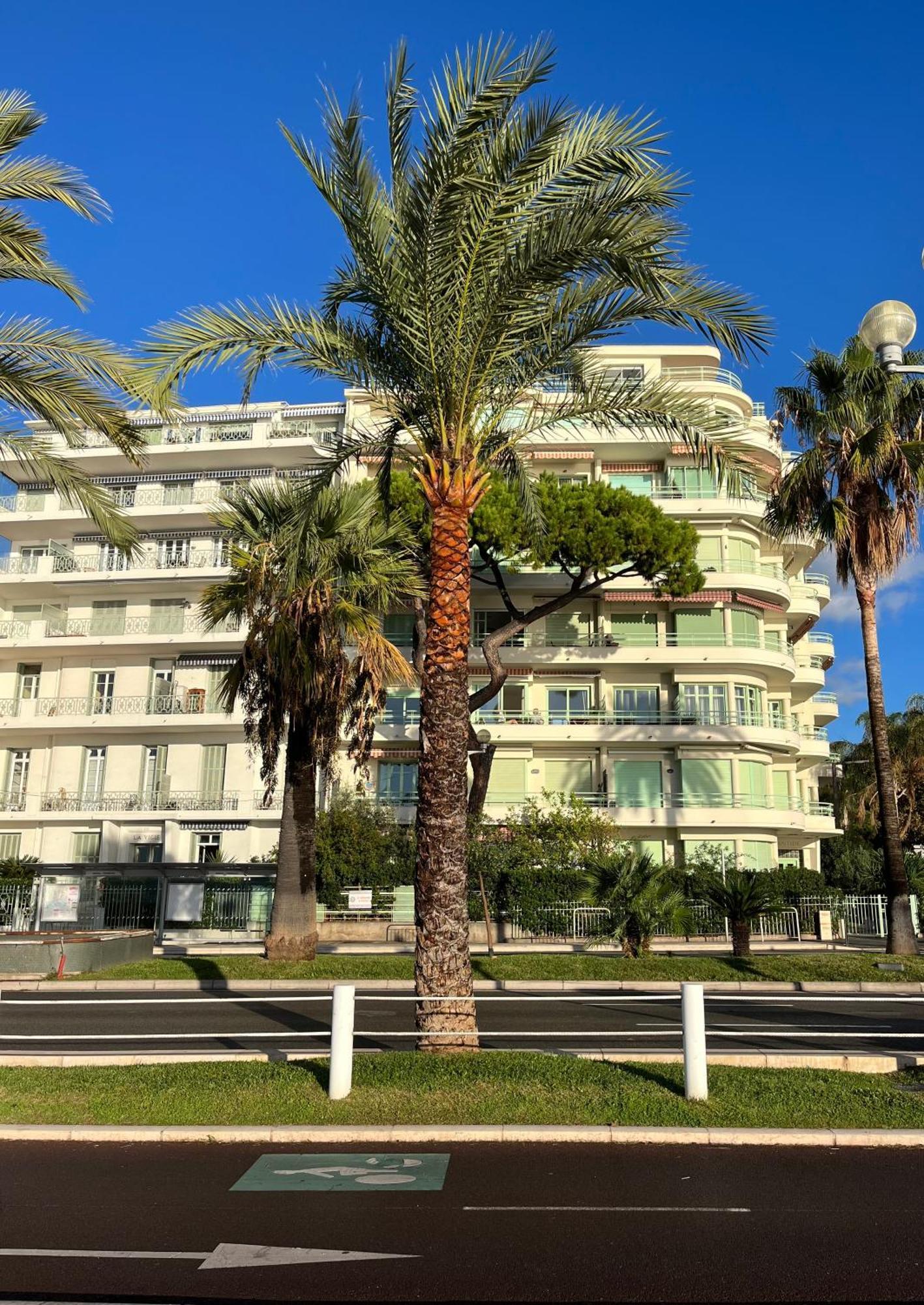 Nice 115 By The Sea Екстер'єр фото